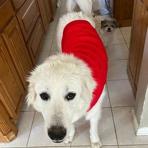 Meet your Posher, Mia